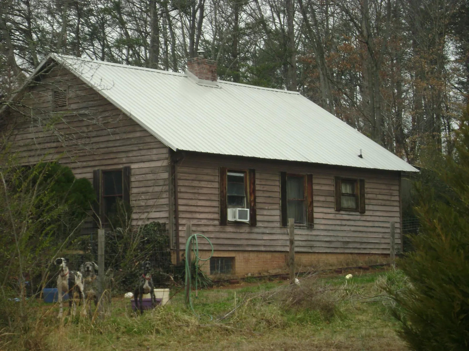 White metal roof on an old wood sided farmhouse, from a Asphalt Shingle Roof Repair job in Weimar